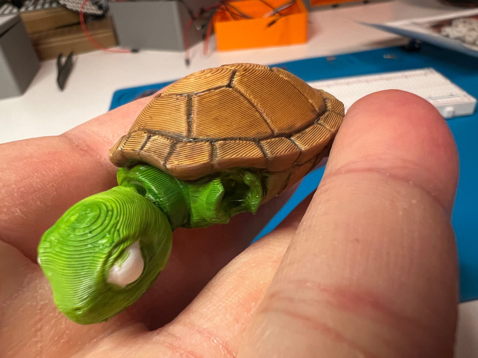 A small 3D-printed turtle held between finger and thumb: bright green head and legs, brown shell with dark lines painted into the grooves.